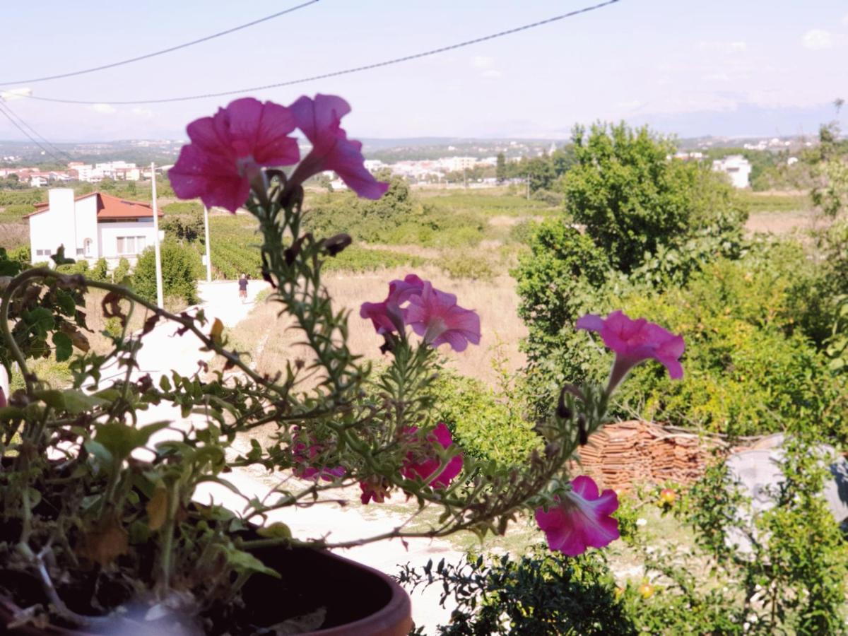 Ferienwohnung Delia Međugorje Exterior foto